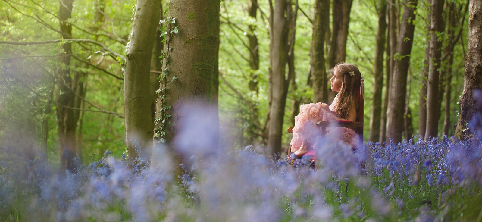 Cardiff Bluebell Photo Sessions